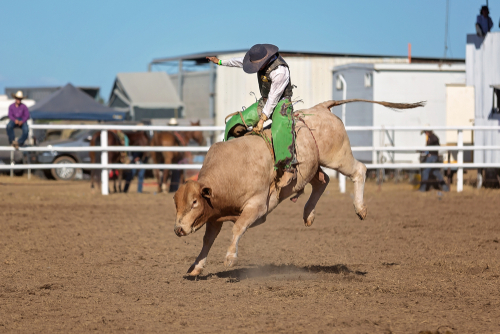 Three Tips To Successful Professional Bull Riding